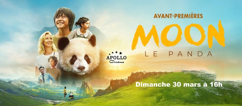 actualité AVP Moon le panda