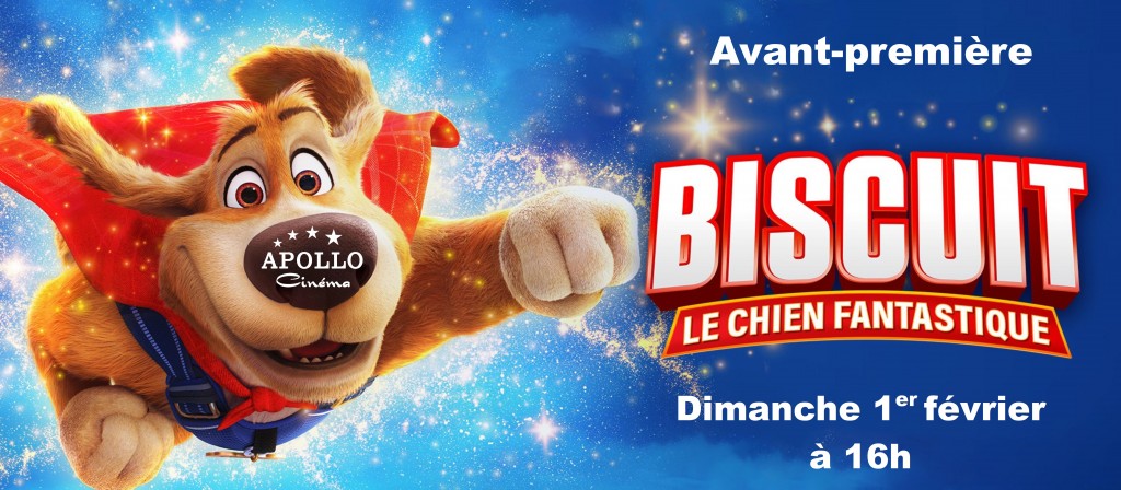 actualité AVP Biscuit